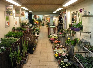 Butik Randersvej 7 8800 Viborg