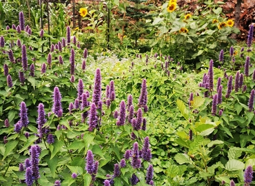 Mødelokale på Kærbyvej 4, 8560 Kolind -  | Foto 3 - Lokalebasen