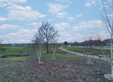 Kontor til leje på Klostermarken 12, 8800 Viborg - 635 m² | Foto 7 - Lokalebasen.dk