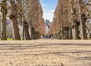 Parkering Dronningens Tværgade, 56 1302 København K