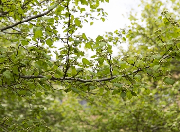 Kontor til leje på Telegade 2, 2630 Taastrup - 6992 m² | Foto 3 - Lokalebasen.dk