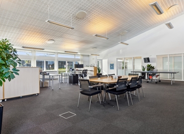 6532 m² Warehouse storage up for rent in Vejle, Edisonvej 5 (7100) - 4 | MatchOffice