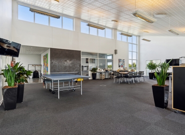 6532 m² Warehouse space rental in Vejle, Edisonvej 5 (7100) - 5 | MatchOffice.com