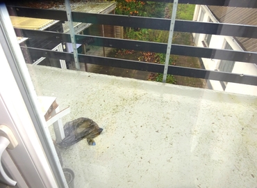 Bolig Gislumvej 9600 Aars