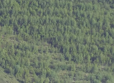 Lager til leje på Industriparken 12A, 7182 Bredsten - 570 m² | Foto 0 - Lokalebasen.dk