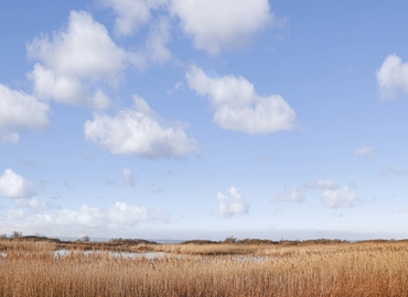 Lager til leje på Kalvebodvej 250, 2791 Dragør - 225 m² | Foto 35 - Lokalebasen