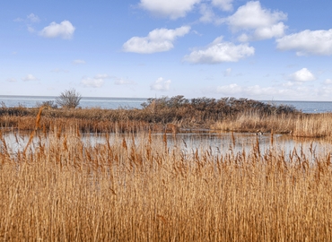 Lager til leje på Kalvebodvej 250, 2791 Dragør - 225 m² | Foto 36 - Lokalebasen