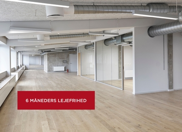 Kontor til leje på Lindevangs Allé 8, 2000 Frederiksberg - 793 m² | Foto 0 - Lokalebasen
