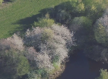 Grund Tofteengen 13 3540 Lynge