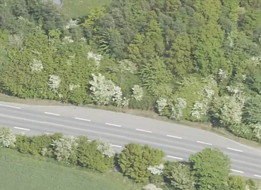 Grund Vig Parkvej 2 4560 Vig