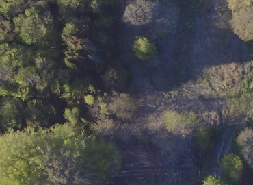 Grund Ledøjevej 29 2620 Albertslund