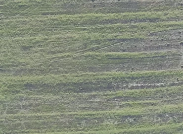 Grund Tangagervej 4 4180 Sorø