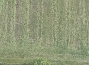 Grund Tangagervej 4 4180 Sorø