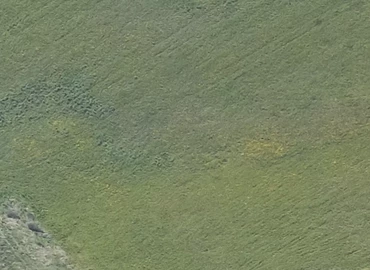 Grund Industri Vest 10 4293 Dianalund