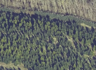 Grund Eksportvej 2A 8653 Them