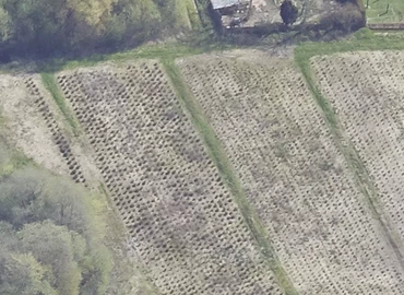 Bolig Erholmvej 8A 5560 Aarup