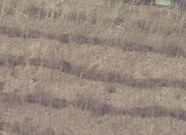 Kontor til leje på Trehuse 9, 7441 Bording - 369 m² | Foto 2 - Lokalebasen.dk