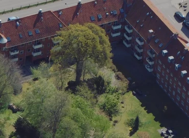 Kontor Kongevejen 331B 2840 Holte