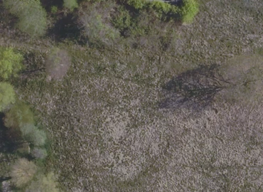 Grund Tankegangen 40 6520 Toftlund