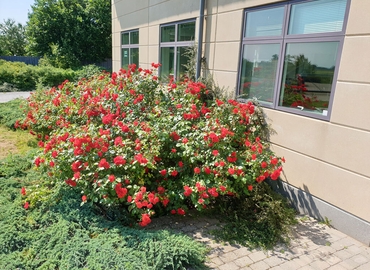 Kontor til leje på Egebjerg Hovedgade 27  Egebjerg, 4500 Nykøbing Sj - 700 m² | Foto 3 - Lokalebasen.dk