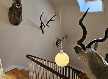 Kontor til leje på Store Torv 2, 3700 Rønne - 90 m² | Foto 2 - Lokalebasen.dk