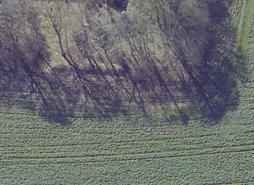 Grund Årupvej 91 8722 Hedensted