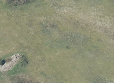 Grund Næstvedvej 50F 4684 Holmegaard