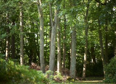 Kontor til leje på Roholmsvej 19, 2620 Albertslund - 1848 m² | Foto 7 - Lokalebasen