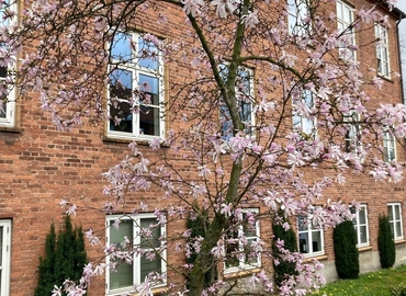 Kontor til leje på Søgade 16, 4100 Ringsted - 75 m² | Foto 5 - Lokalebasen.dk