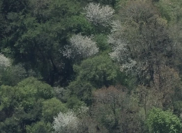 Bolig Maglesøvej 89 4340 Tølløse