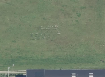 Lager til leje på Foldagervej 5B, 4600 Køge - 2250 m² | Foto 3 - Lokalebasen.dk