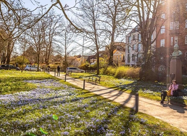 Office Allegade 13 2000 Frederiksberg