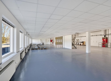 Lager til leje på Møllehaven 31, 4040 Jyllinge - 1160 m² | Foto 5 - Lokalebasen.dk
