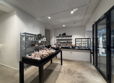 Butik til leje på Falkoner Alle 42, 1952 Frederiksberg C - 227 m² | Foto 2 - Lokalebasen.dk
