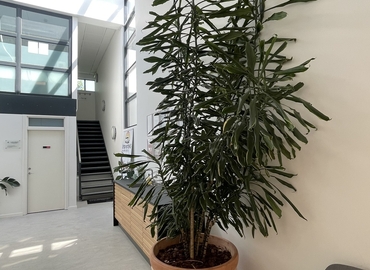 Butik til leje på Solrød Strandvej 92, 2680 Solrød - 160 m² | Foto 6 - Lokalebasen