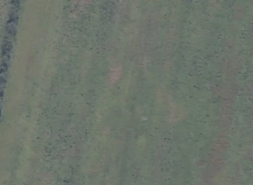 Lager til leje på Nordensvej 5, 6330 Padborg - 4000 m² | Foto 1 - Lokalebasen.dk