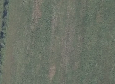 Lager til leje på Nordensvej 5, 6330 Padborg - 20000 m² | Foto 0 - Lokalebasen.dk