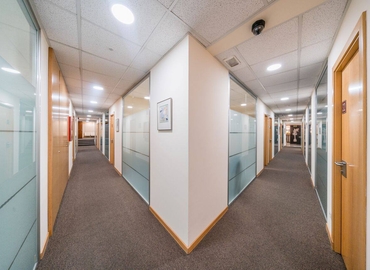 Alquile oficinas compartidas en Zaragoza 30 m², Pº Independencia 8 Dupdo - 4 | MatchOffice.es