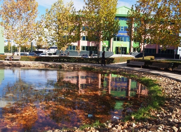 800 m² Shared workspace  in Pozuelo de Alarcon, Camino del Cerro de los Gamos 1  (28224) - 1 | MatchOffice.com