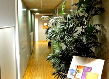 Observe oficinas de coworking en Sants-Montjuic 800 m², Carrer de Valencia 63 - 6 | MatchOffice