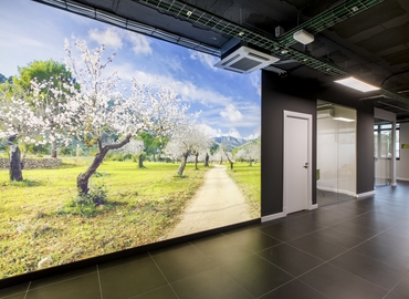 Virtual office in Poligono Son Castello, Carrer del Fluvià (07009) - 9 | MatchOffice