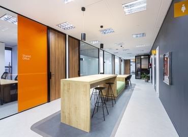 Observe oficinas compartidas en Madrid Chamartín 600 m², Paseo de la Castellana 216 - 5 | MatchOffice.es