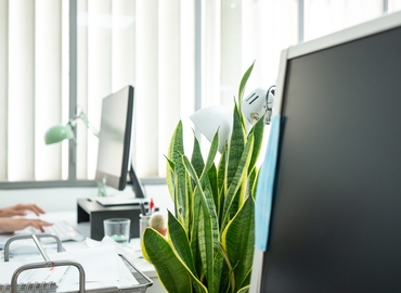 200 m² Coworking in Palma de Mallorca, Carrer de Margalida Caimari 24 (07005) - 5 | MatchOffice.com