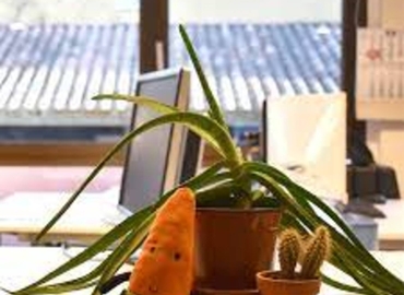 40 m² Coworking  in Girona, Carrer Anselm Clavé 32 (17001) - 13 | MatchOffice.com