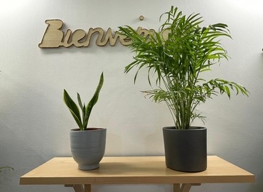 Parque empresarial disponible para alquilar en Málaga 25 m², Plaza Poeta Alfonso Canales 4 - 6 | MatchOffice