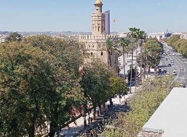 Virtual office in Seville, Paseo de las Delicias 3 (41001) - 2 | MatchOffice.com