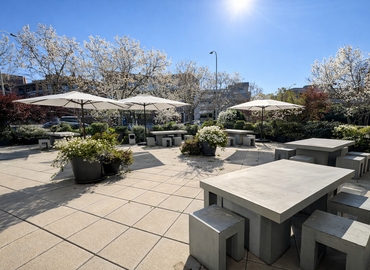 1300 m² Shared office  in Madrid Centro, Calle de Velázquez 157 (28002) - 11 | MatchOffice