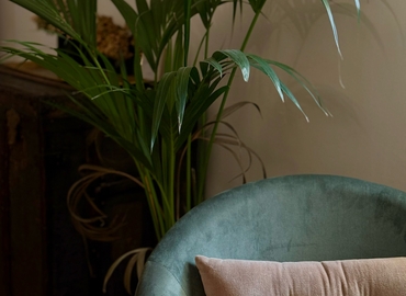 Explore coworking en Palma de Mallorca 250 m², Carrer del Baró de Pinopar - 10 | MatchOffice.es