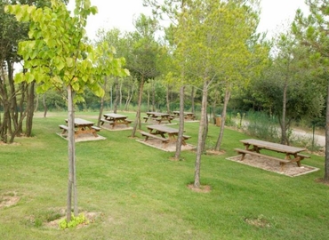 38 m² Convention center in Sophia-Antipolis, 2405 route des Dolines (06560) - 20 | MatchOffice.com