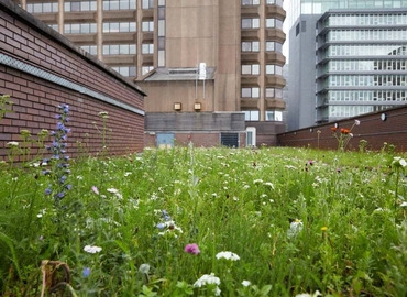 Coworking Oxford Road 124 M13 9RD Greater Manchester